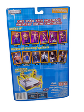Load image into Gallery viewer, WWF WWE No Way Out Series 2 Lita Action Figure (Jakks Pacific, 2001)

