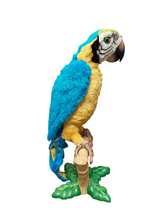 Load image into Gallery viewer, FurReal Friends Squakers McCaw
