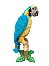 Load image into Gallery viewer, FurReal Friends Squakers McCaw
