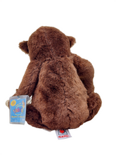 Load image into Gallery viewer, Ganz Webkinz Chimpanzee (HM172) with original tag (code looks unused)
