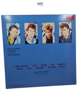 Load image into Gallery viewer, Mr Mister - Welcome to the Real World (Vinyl, 1985)
