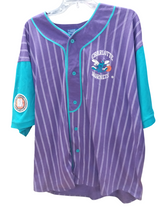Load image into Gallery viewer, Vintage 90&#39;s Charlotte Hornets Pinstripe Baseball Jersey by Starter

