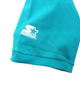 Load image into Gallery viewer, Vintage 90&#39;s Charlotte Hornets Pinstripe Baseball Jersey by Starter
