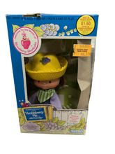 Load image into Gallery viewer, Strawberry Shortcake Huckleberry Pie doll with Pupcake pet No. 43030 (open box, 1981)
