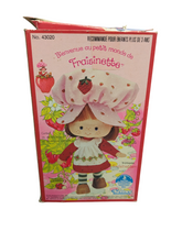Load image into Gallery viewer, Welcome to the World of Strawberry Shortcake: Strawberry Shortcake doll No. 43020 (open box, 1980)
