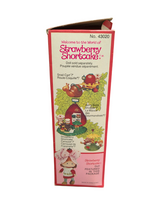 Load image into Gallery viewer, Welcome to the World of Strawberry Shortcake: Strawberry Shortcake doll No. 43020 (open box, 1980)
