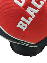 Load image into Gallery viewer, Caddy Pro NHL Chicago Blackhawks Cart Bag
