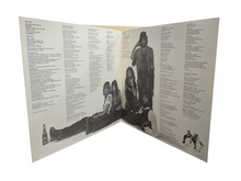 Load image into Gallery viewer, Fleetwood Mac - Rumours (Vinyl, 1977)
